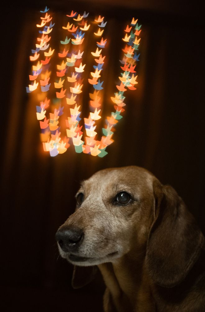 Photograph by Светлана Аверьянова