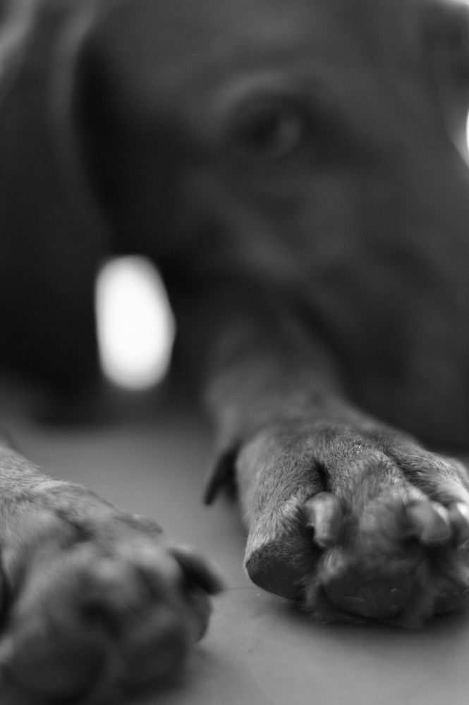 Фотография автора Olivia Velarde