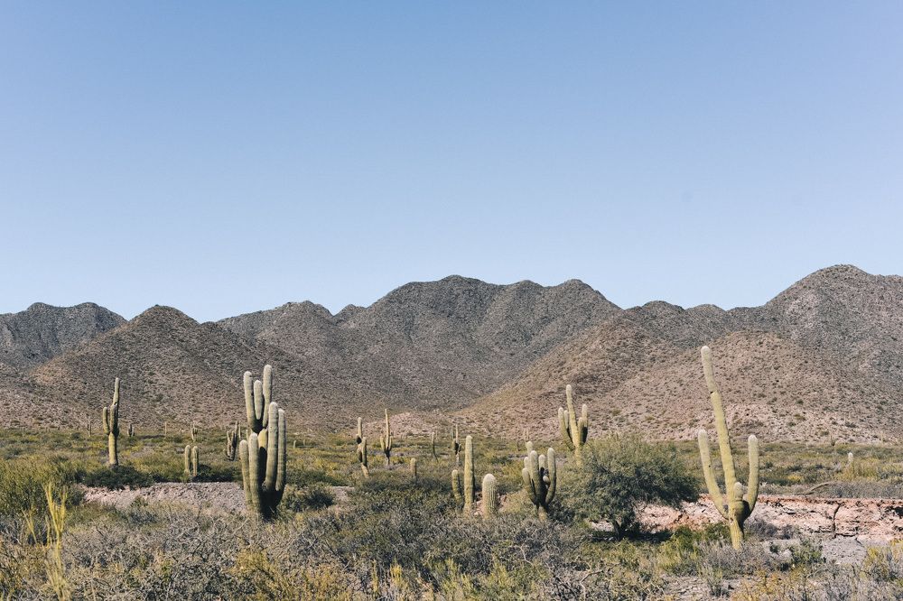 Фотография автора Olivia Velarde