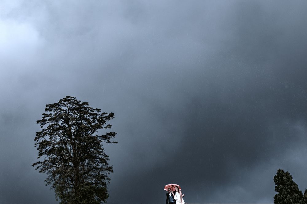 Photograph by Antony Trivet