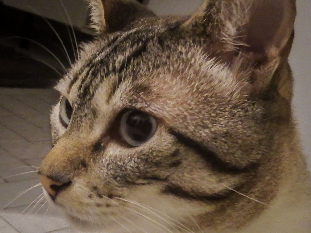 Photo #6177940
