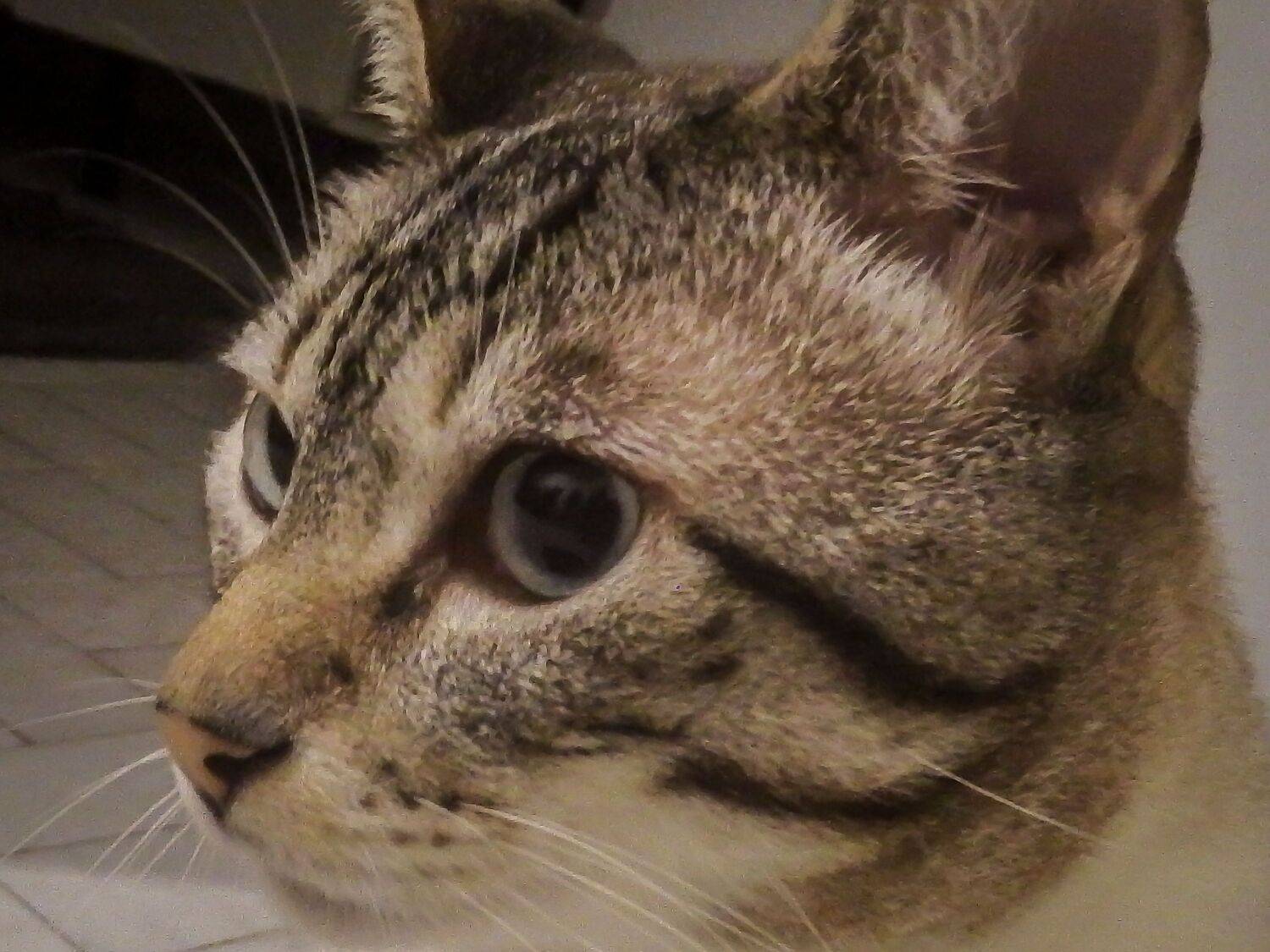 Photo #6177940