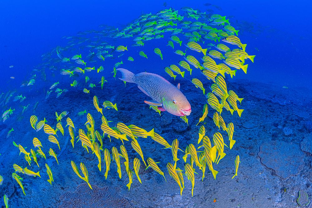 Will someone be my friend?