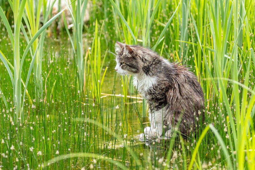 Фотография автора Екатерина Счасная