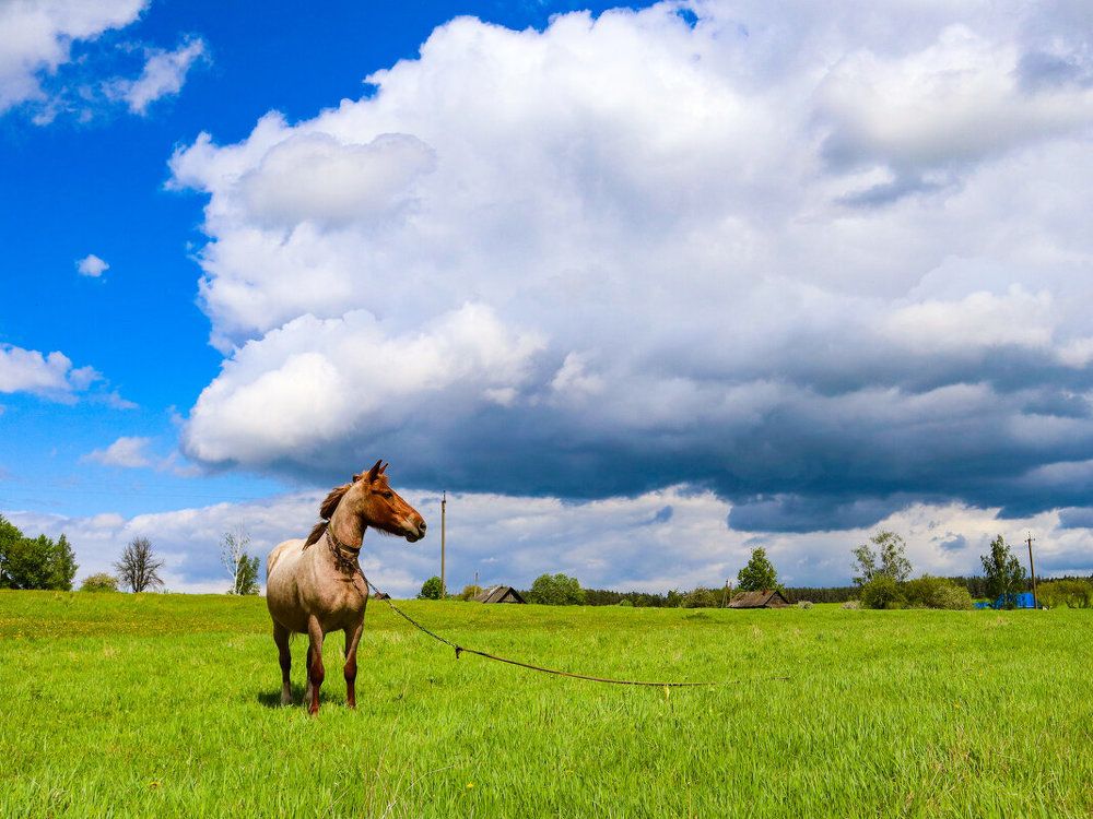 Фотография автора Екатерина Счасная