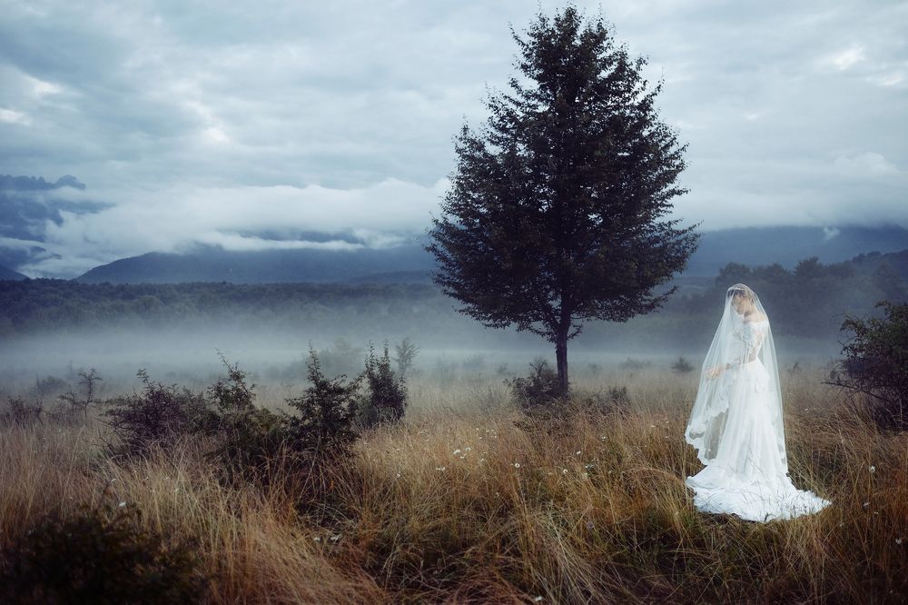Photo #6178061
