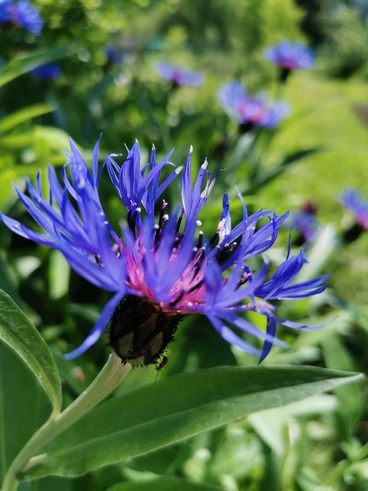 Photograph by Нина Титенкова