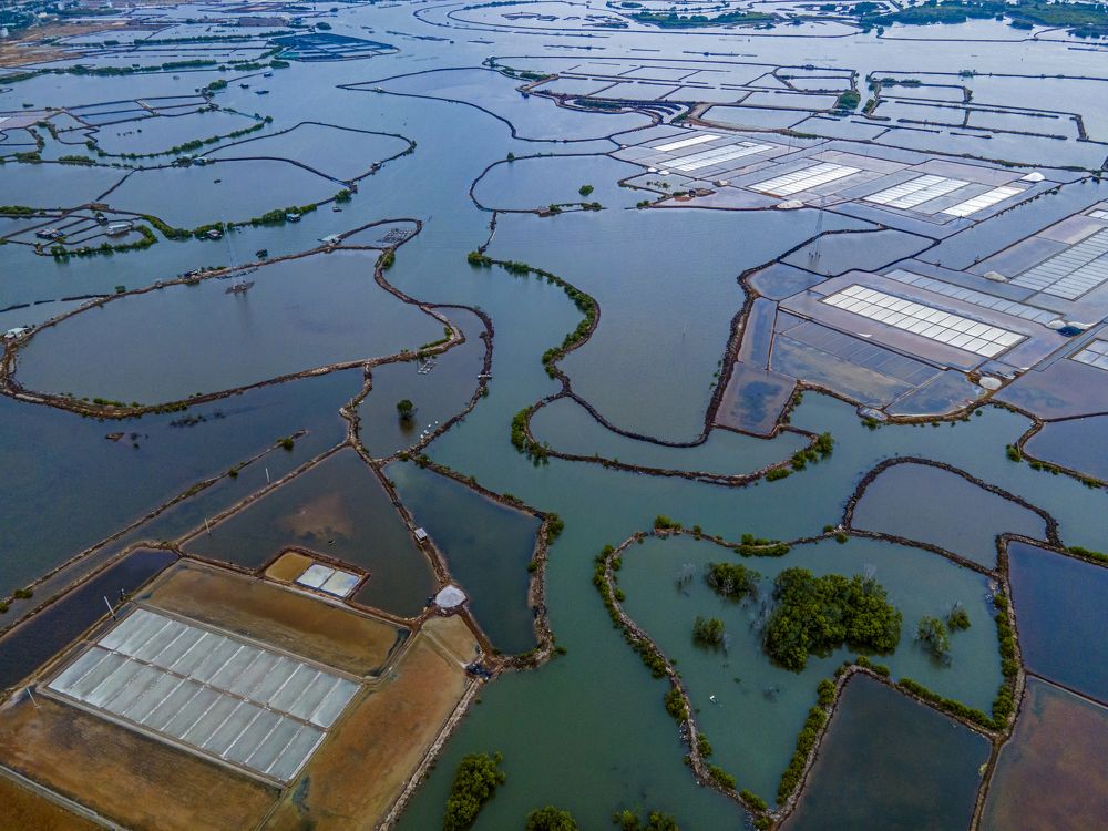 Photograph by HOAI ÂN DO TRONG