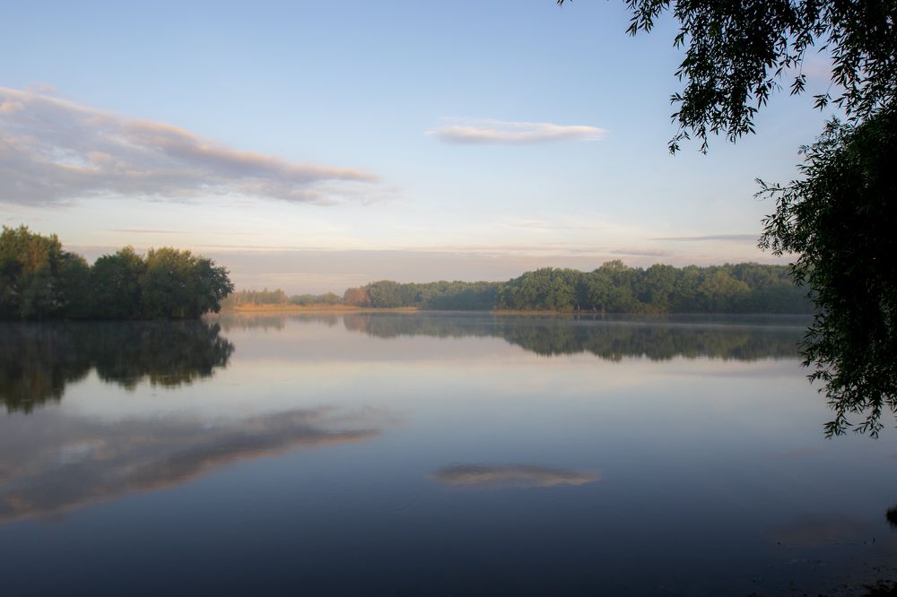 Туманное утро