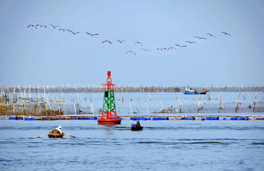 Photograph by HOAI ÂN DO TRONG