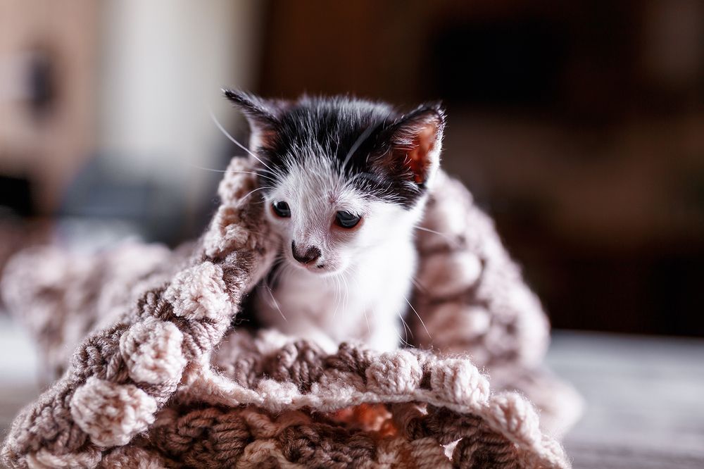 Photograph by Алена