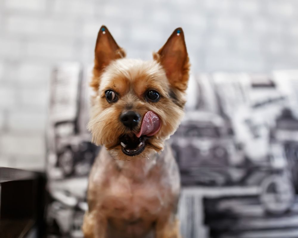 Photograph by Алена