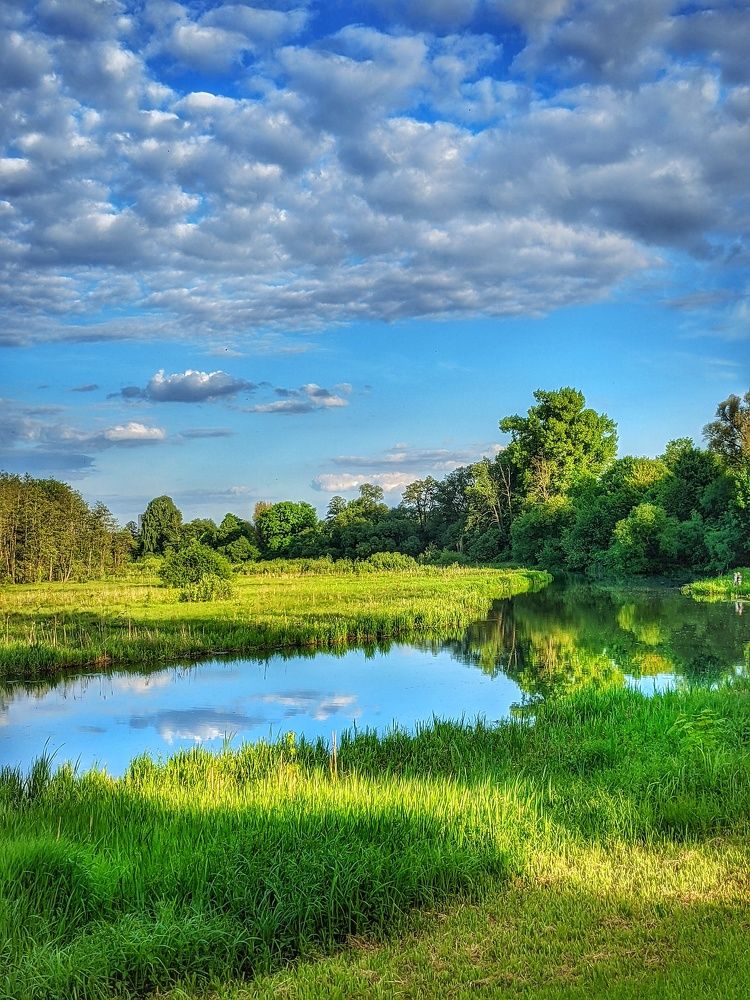 Photograph by Владимир Шаруба