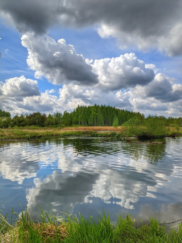 Photograph by Владимир Шаруба