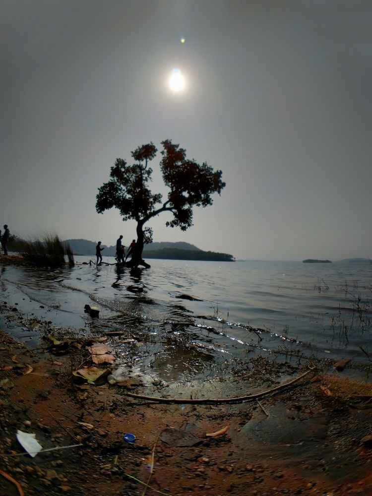 Фотография автора SK Shahbaj Ahmed