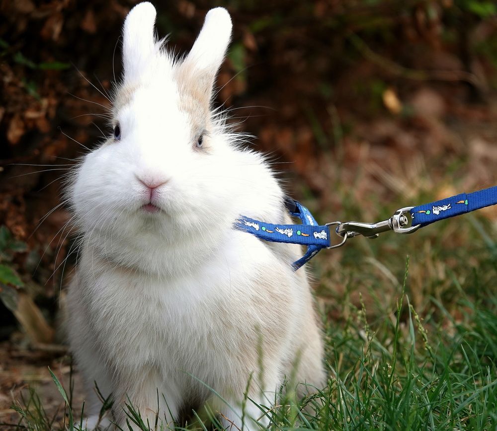 Photograph by Haim Berman