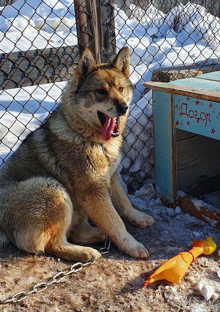 Photograph by Альбина Алексеева - Бугименова