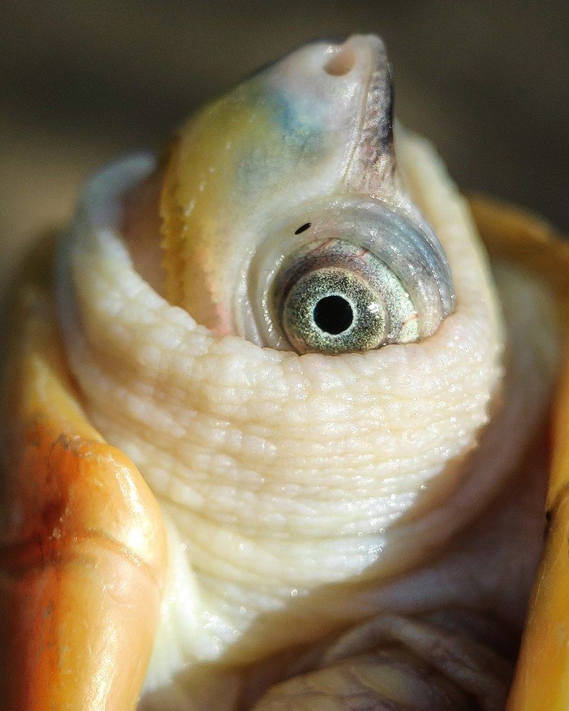 Photograph by Tanya Narayan