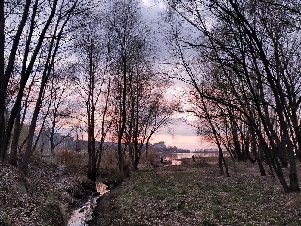 Вечер. На закате.