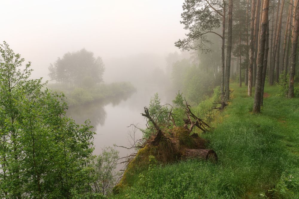 Photograph by Юлия Лаптева