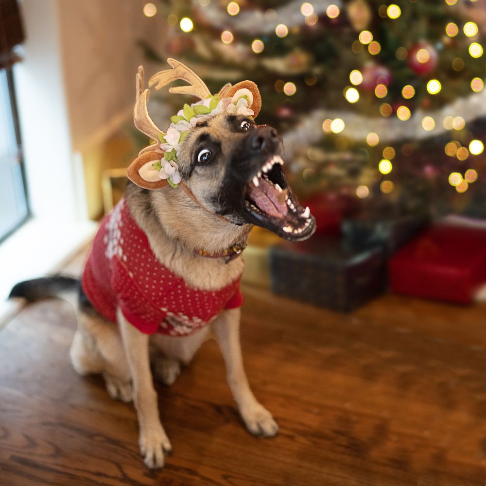 Фотография автора Irina Kozhemyakina