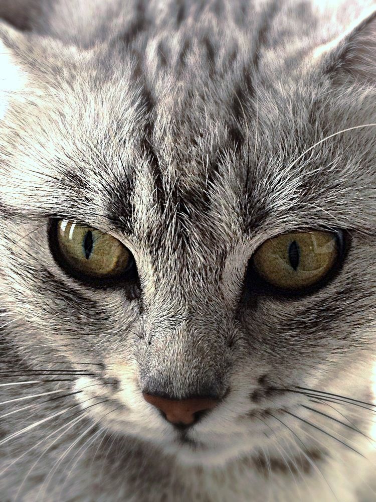 Photograph by Лилия