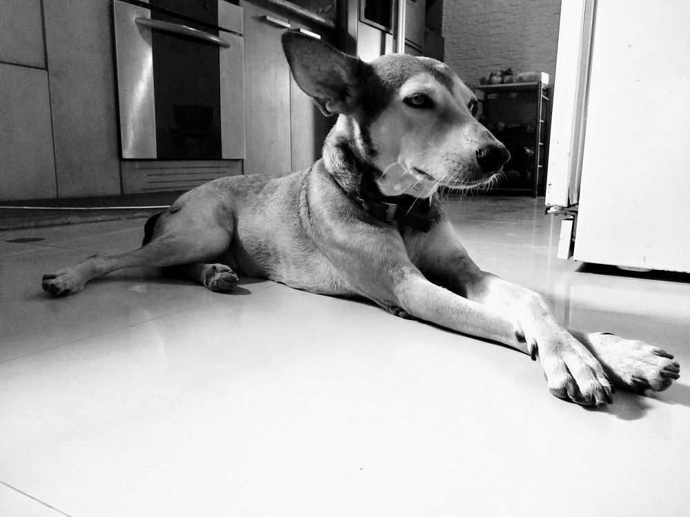 Photograph by María Colina