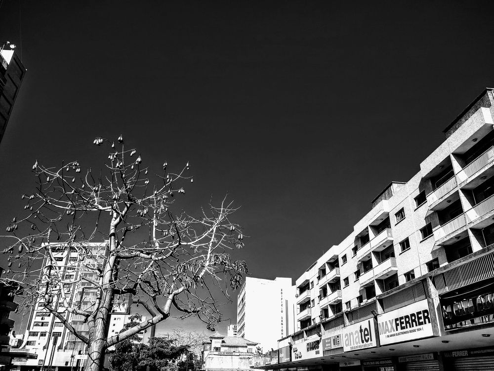 De la serie 40 grados bajo la sombra