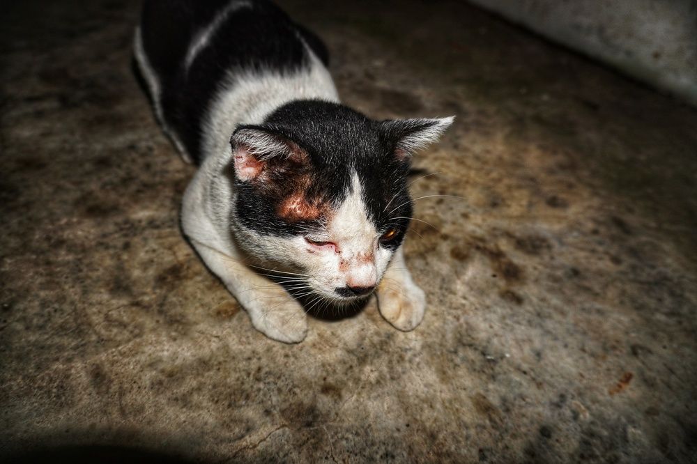 Photograph by Naimin Derbe