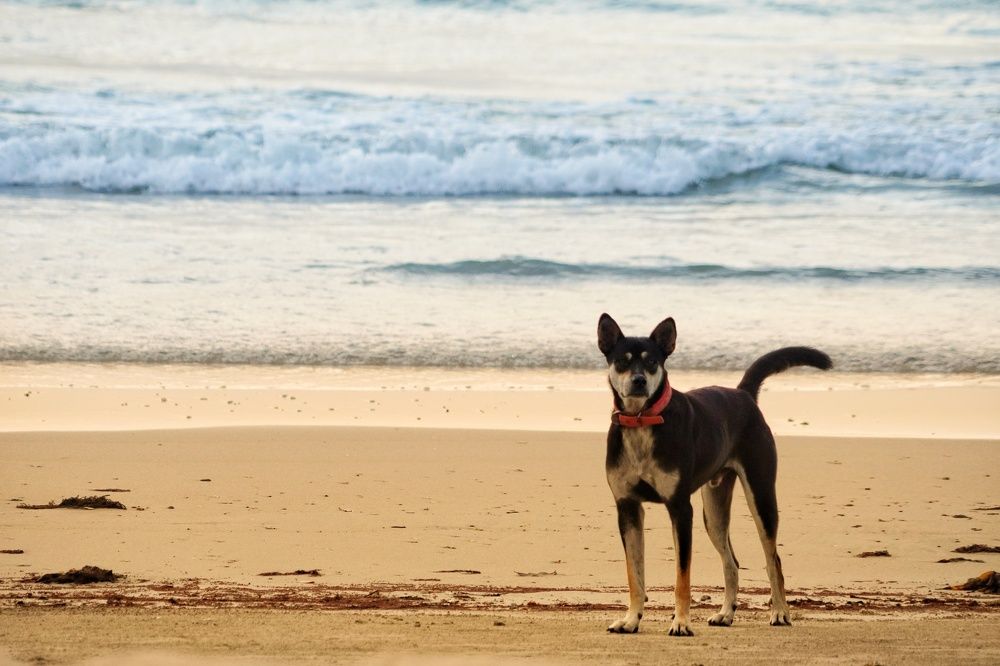 Photograph by Naimin Derbe