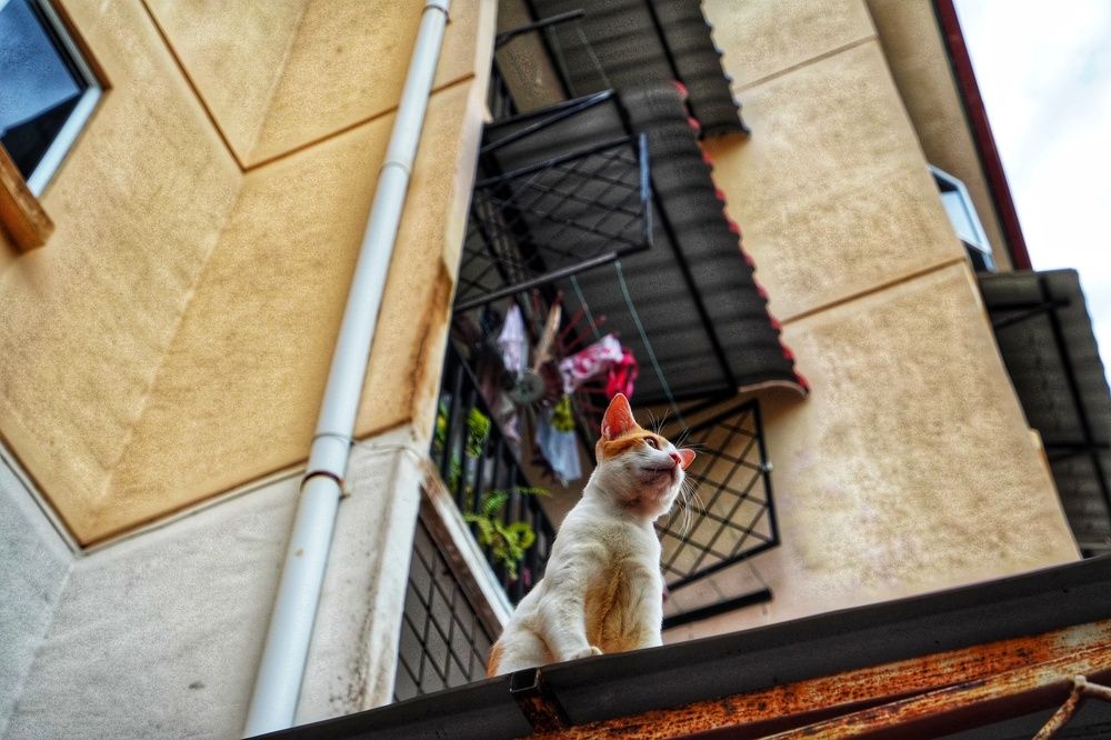 Photograph by Naimin Derbe