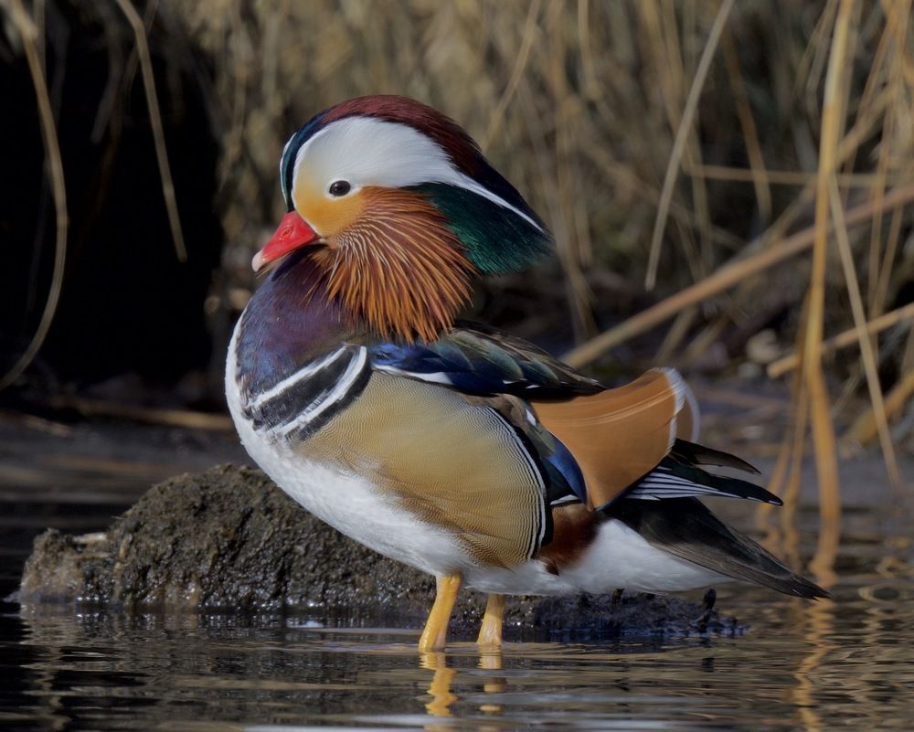 Photograph by Linda Olsen