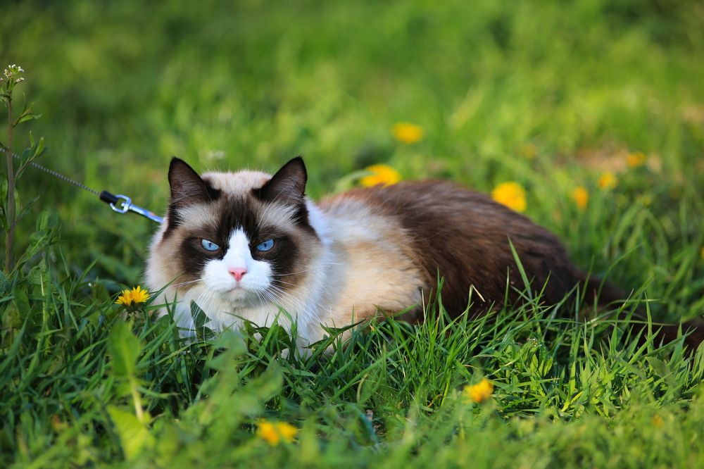 Photograph by Ирина Сушко