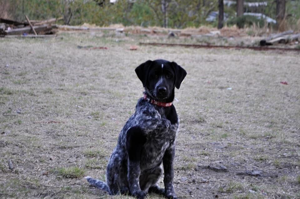 Photo #6178523