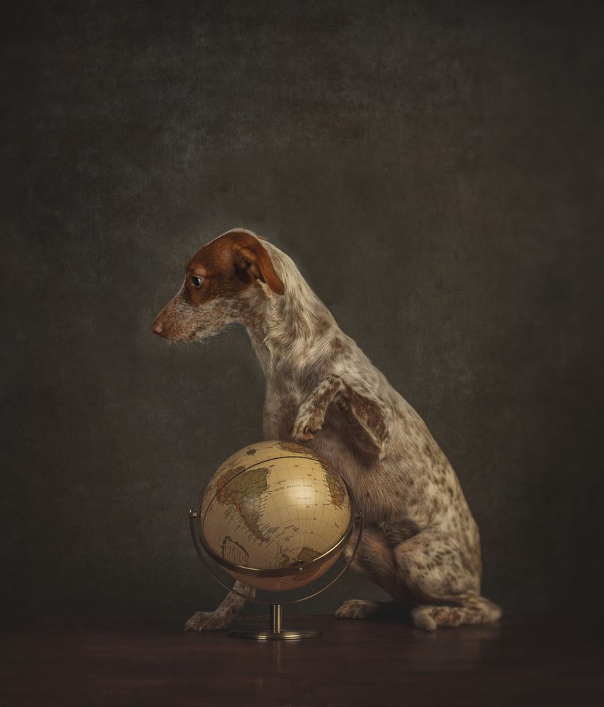 Photograph by carmen pascual