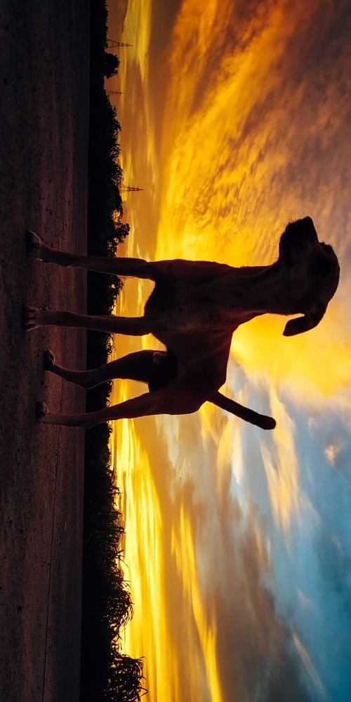 Фотография автора Jatin Waghela