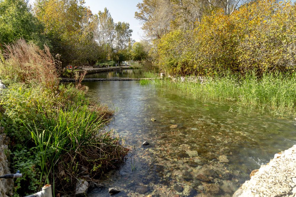 Photograph by Владимир Бутов