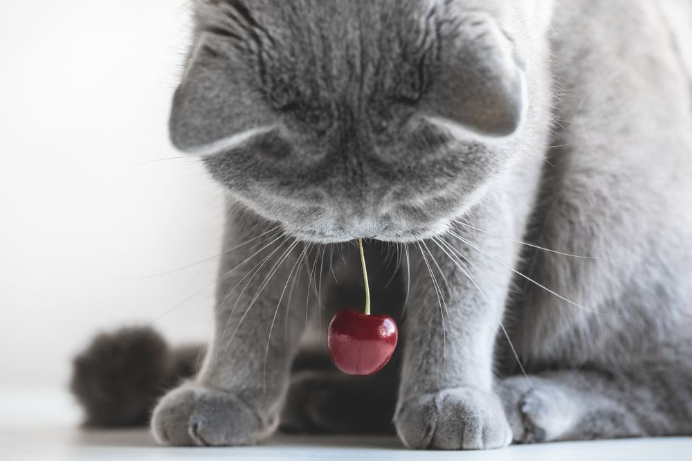 Photograph by Марина Багрова