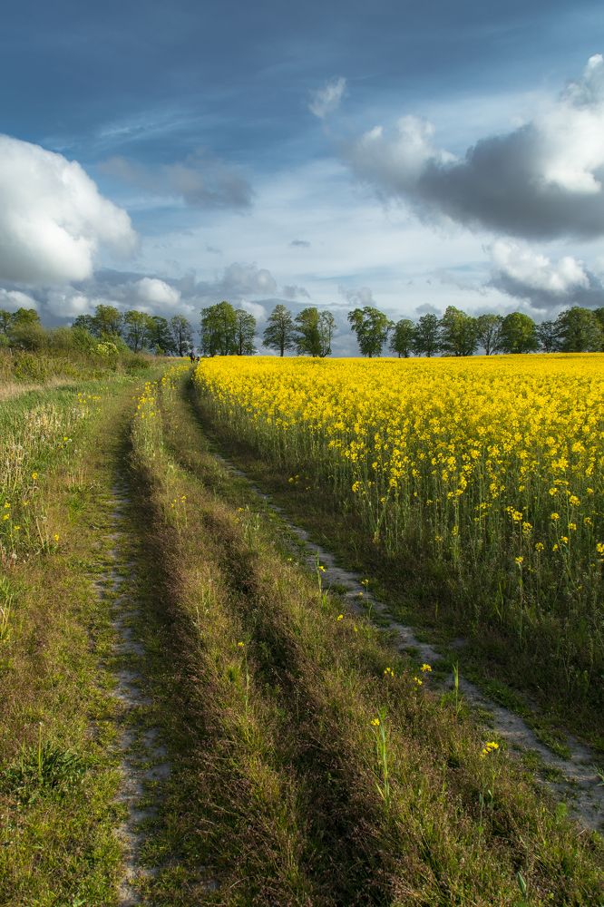 Photograph by Наталья Брюхненко