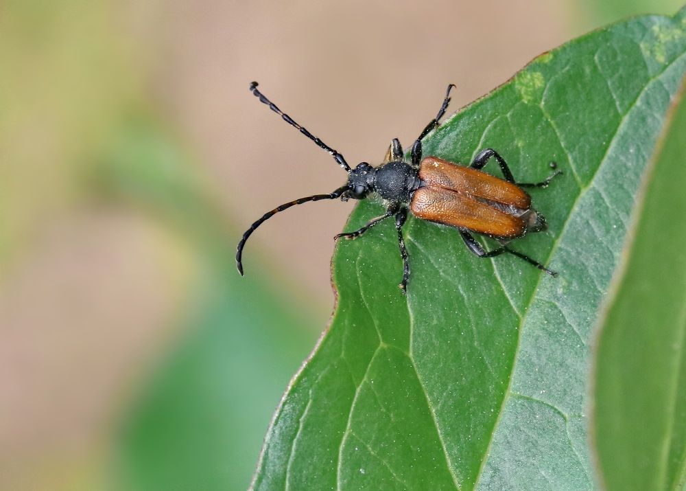 Photograph by Игорь Осипов