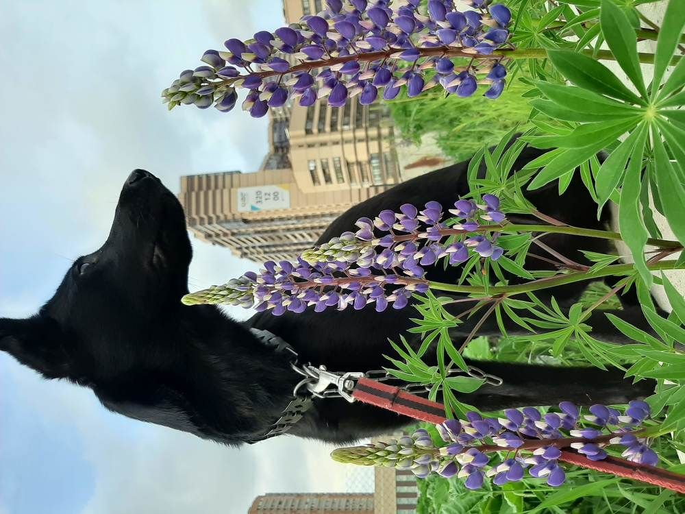 Photograph by Екатерина Попова