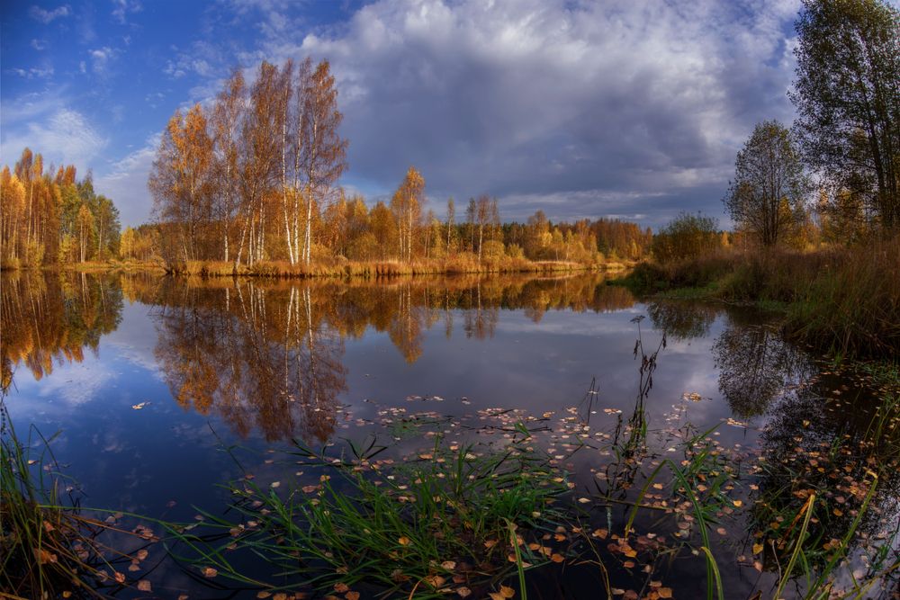 Photograph by Марина Мурашова