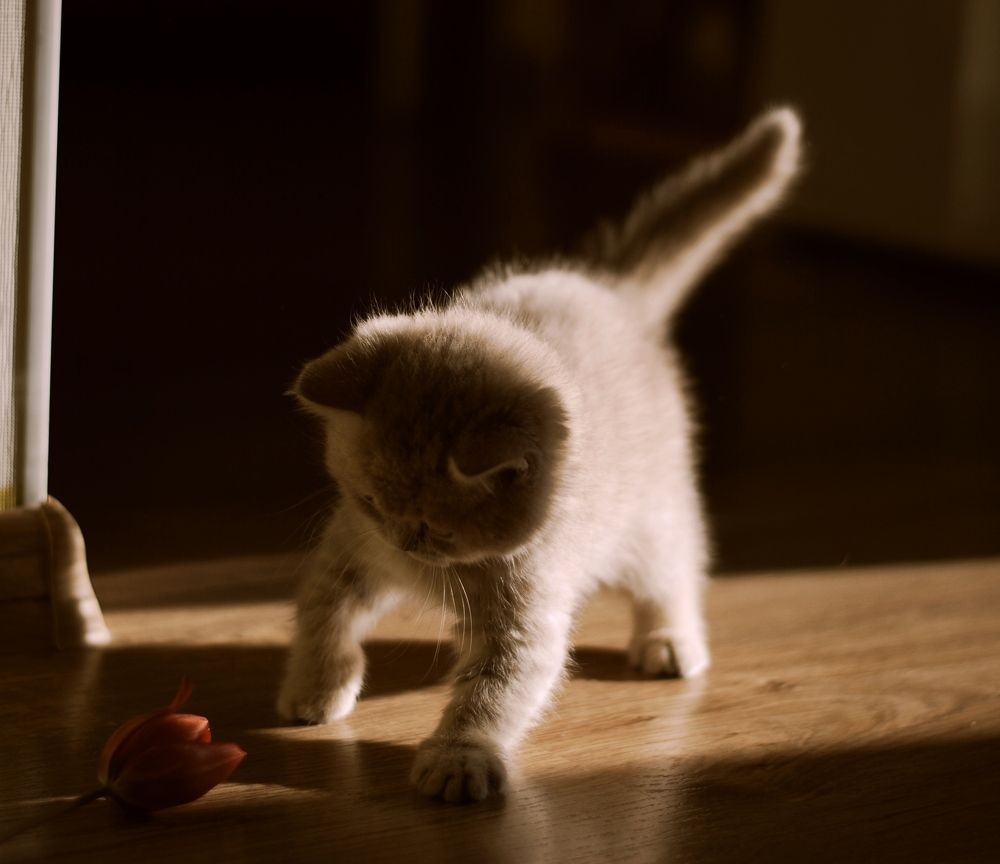 Photograph by Ольга Перевозчикова