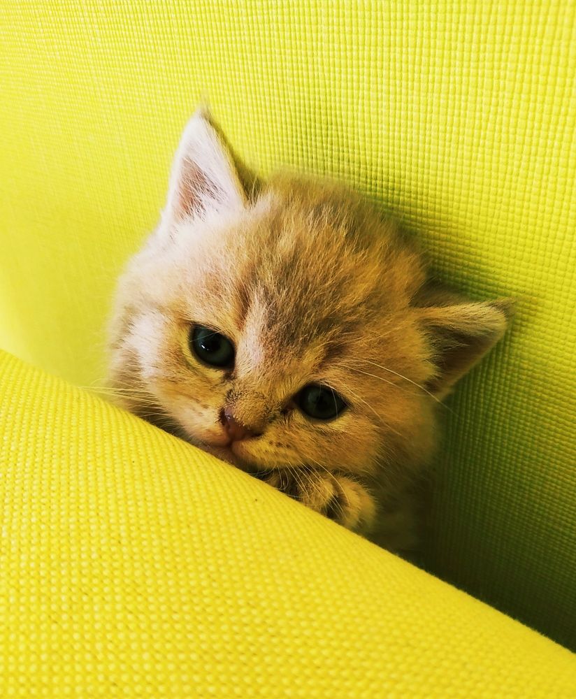 Photograph by Ольга Перевозчикова