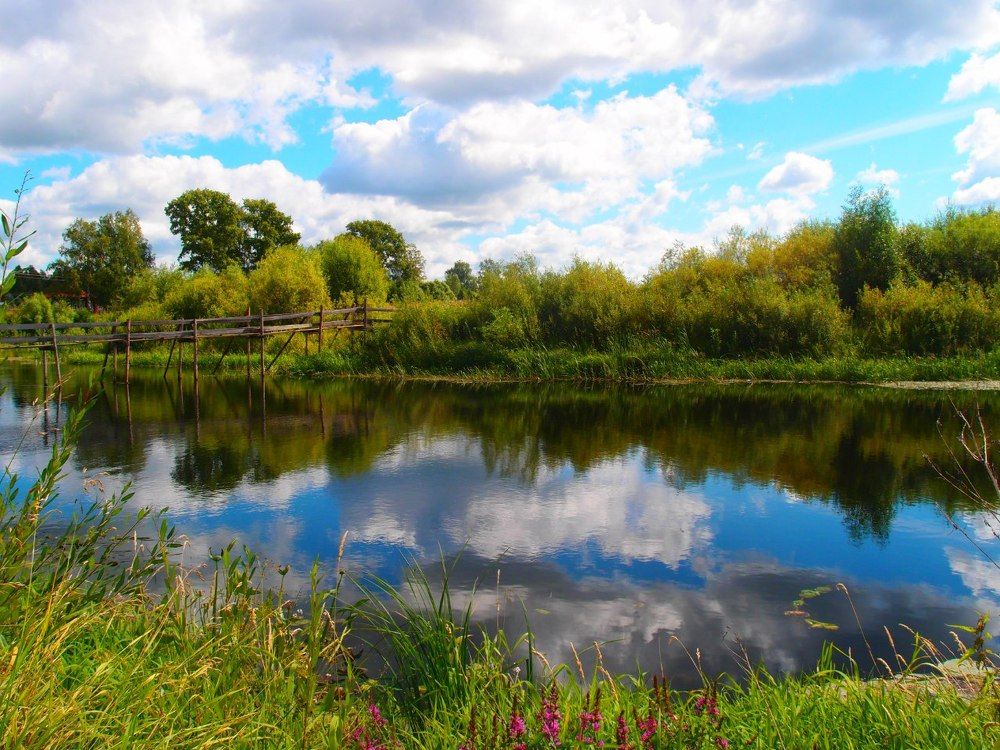 Photograph by Полина Химич