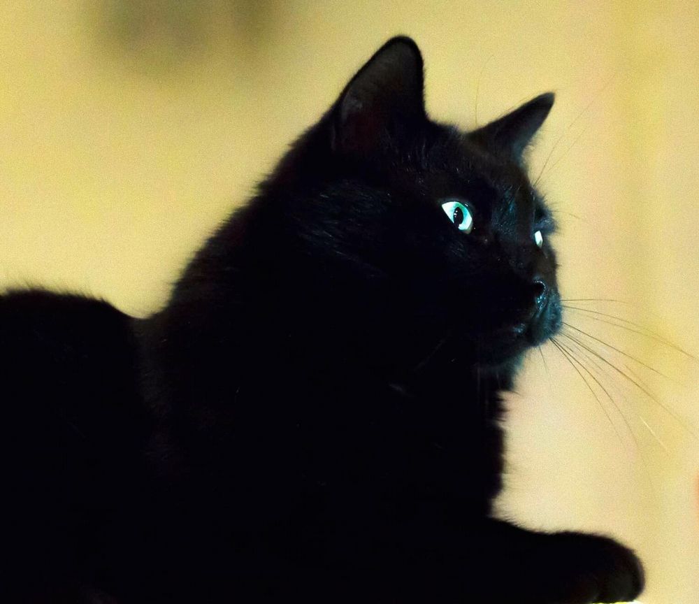 Photograph by Алексей Стрижаков