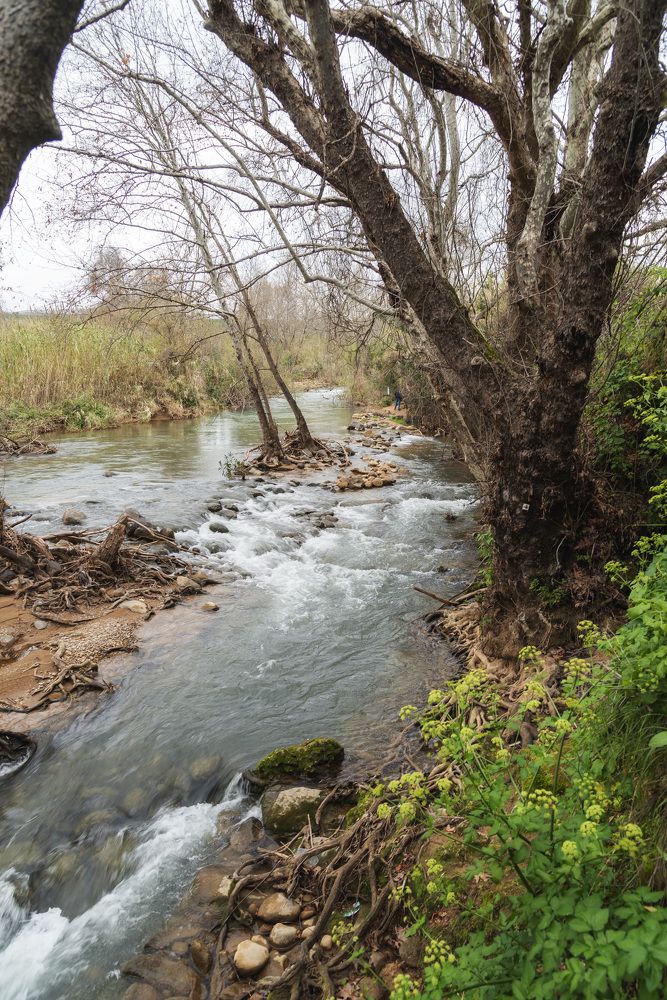 Photograph by Владимир Бутов
