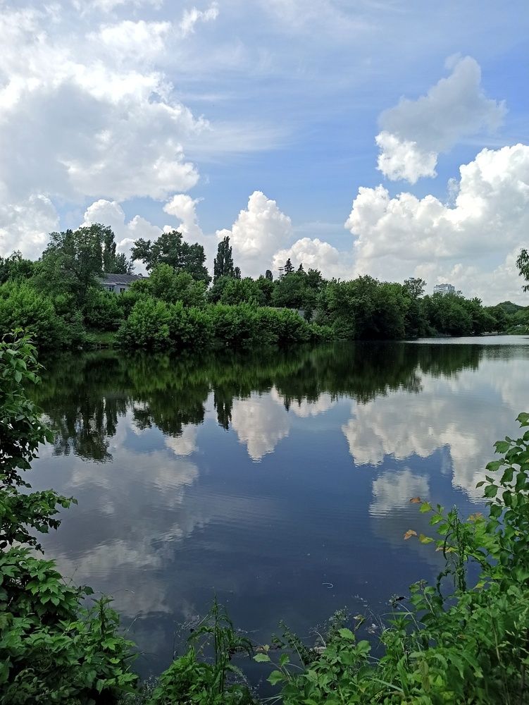 Photograph by Вера Родионова