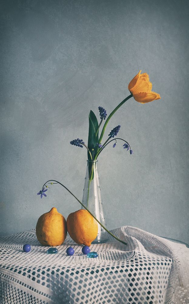 Photograph by Petya Lazarova