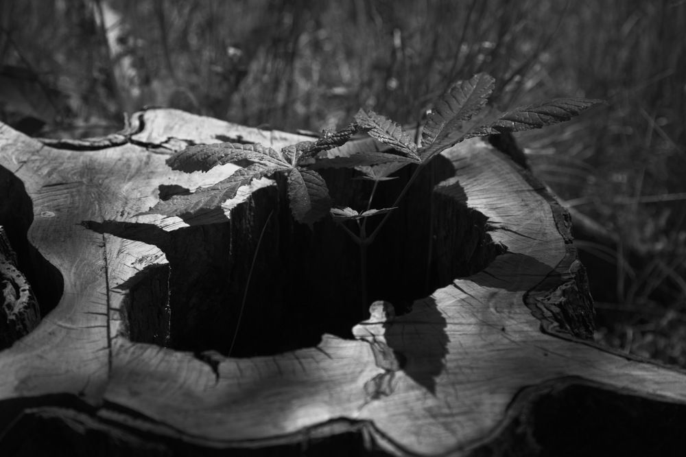 А жизнь...продолжается...!